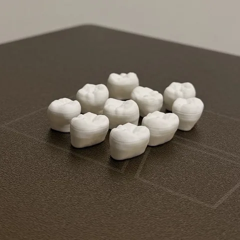 白い歯グネット
