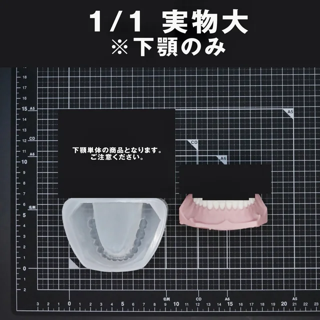 実物大の下顎単体のモールドと、下顎の入れ歯の制作例
