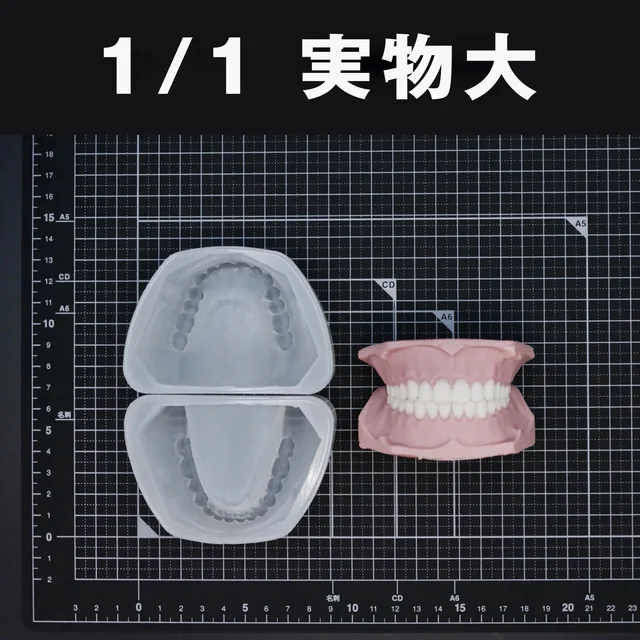 実物大の上顎・下顎のモールドと、上下を合わせた入れ歯の制作例