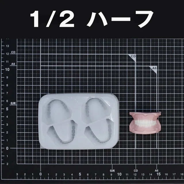 ハーフサイズの上顎・下顎のモールドと、入れ歯の制作例