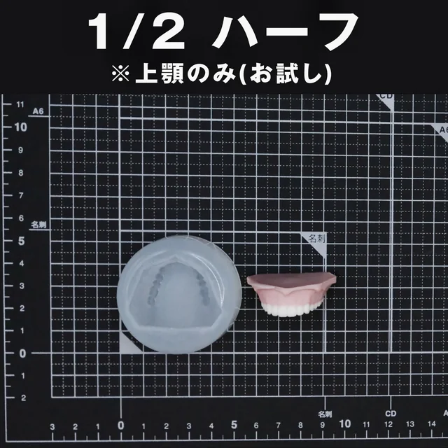 ハーフサイズの上顎お試しモールドと、上顎の入れ歯の制作例