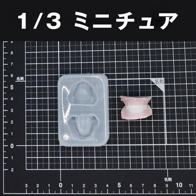 ミニチュアサイズの上顎・下顎のモールドと、入れ歯の制作例