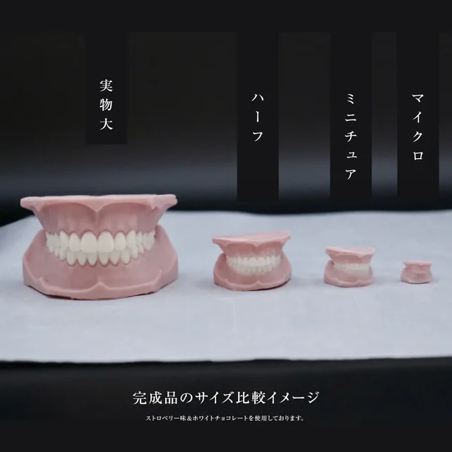 ピンクと白の義歯チョコを、左から実物大1/1、ハーフ1/2、ミニチュア1/3、マイクロ1/5の順に並べた完成形のサイズ比較