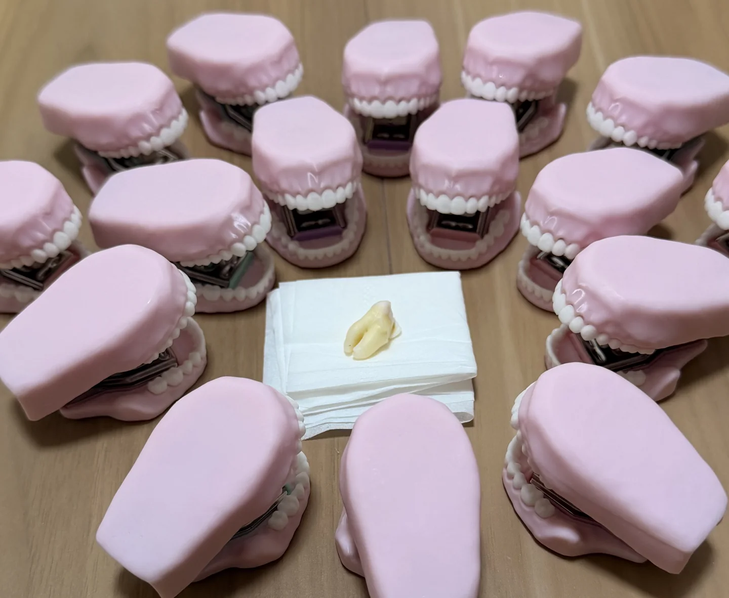 机の上に丸く並べられた、たくさんのピンク色の歯ッチキス